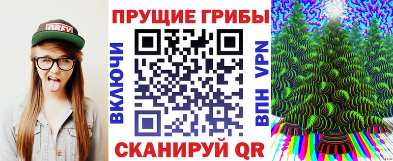 Псилоцибиновые грибы ЛСД  купить   Междуреченск 