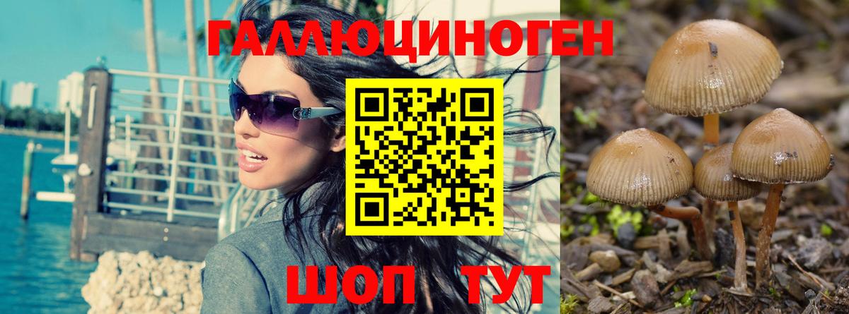 Междуреченск  Псилоцибиновые грибы мухоморы  Вход с VPN 
